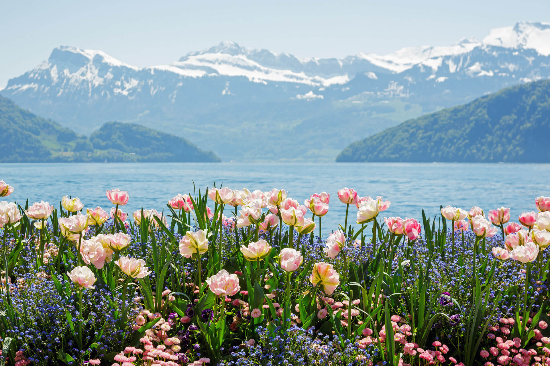 Lake Lucerne in Weggis